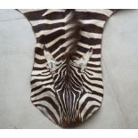 A vintage zebra skin rug, 280cm long