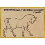 A group of loose folios (14 single and 6 double sided) from an manuscript on the study of horses