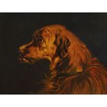 Circle of William Henry Hamiton Trood, British 1860-1899- Head of a wolf hound; oil on canvas,