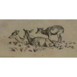Robert Hills OWS, British 1769-1844- Deer and two fawns; etching, signed,