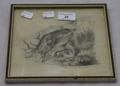 ALBERT SCHINDLER (1805-1861), pencil sketch of a deer,