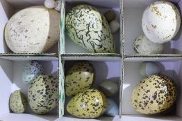 A quantity of Emerald Collectable's imitation birds eggs,