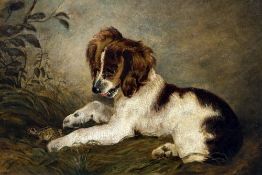 ENGLISH SCHOOL (19th century) The Curious Puppy Oil on canvas 53.5 x 36.