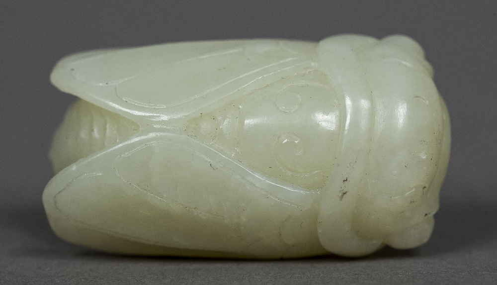 A Chinese carved celadon jade cicada Typically worked. 4.5 cm long.