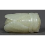 A Chinese carved celadon jade cicada Typically worked. 4.5 cm long.