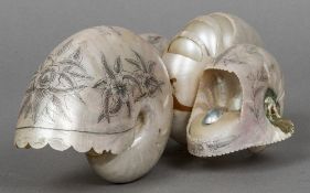 An unusual 19th century seashell desk stand Formed from three shells,