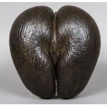 A well-formed and balanced 19th century coco de mer (Lodoicea Maldivica) Typically formed with good