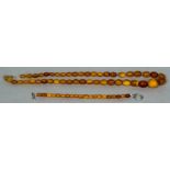 An amber graduated bead necklace Together with an amber bead bracelet. The necklace 62 cm long.