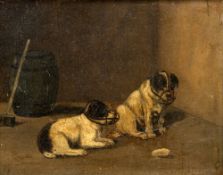 ARTHUR GULL (19th/20th century) Two Terriers Wearing Muzzels Oil on canvas Signed 24 x 19 cm,