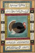 An antique Persian miniature Worked with a turkey within calligraphic script vignettes and floral