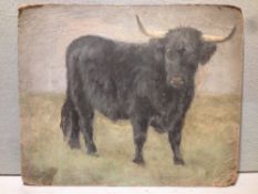 JOSEPH DIXON CLARK (1849-1944) British Study of a Longhorn Bull;