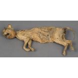 A petrified cat,