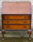 A burr walnut bureau