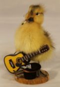 A taxidermy specimen of a duckling portrayed as a busking musician