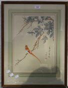 A Chinese watercolour on silk of a bird in a tree