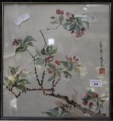 BARBAR MILES (20th century) British, Peach Blossom (Perfect Harmony), watercolour,