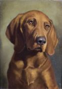 GUSTAVE LORINCZ (1855-1931) Austrian Portrait of a Retriever Oil on board Old typed label to