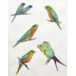 ENGLISH SCHOOL (20th century) Budgerigar Studies Watercolours The larger 23.