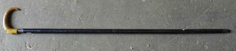 A horn handled walking stick