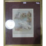 ARCHIBALD THORBURN (1860-1935) British, Owls, signed print,