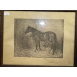 An oak framed print of the horse William III,