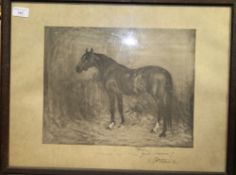 An oak framed print of the horse William III,