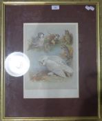 ARCHIBALD THORBURN (1860-1935) British, Owls, signed print,