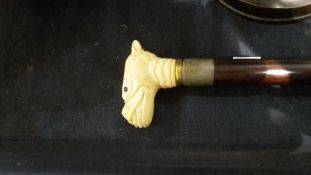 A walking stick with a bone top formed as a dog