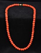 A single strand coral bead necklace Set with a silver gilt clasp. 51 cm long.