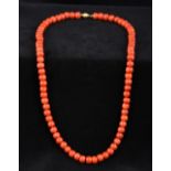 A single strand coral bead necklace Set with a silver gilt clasp. 51 cm long.