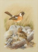 *ARR TERENCE JAMES BOND (born 1946) British Stonechats Watercolour Signed 21 x 29 cm,