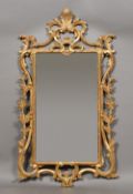 A 19th century Florentine carved giltwood and gesso wall glass With pierced scrolling foliate frame.