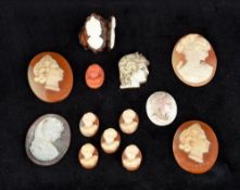 A small collection of antique and later cameos Some carved, some press moulded. The largest 3.