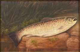 After THOMAS TARGETT Trout on a Riverbank Oil on canvas laid down Bears signature 29 x 19 cm,