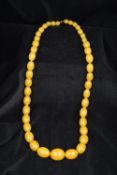 A butterscotch amber bead necklace The oval beads of graduated sides and with a gold clasp.
