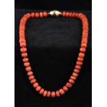 A single strand coral bead necklace Set with a barrel form clasp. 45 cm long.