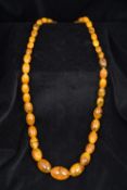 An amber bead necklace The oval beads of graduated size. 73 cm long.