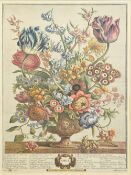 After HENRY FLETCHER (1710-1750) British Twelve Months of Flowers Lithographs after the