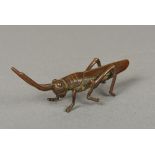 A Japanese bronze figure of a locust Naturalistically modelled. 11 cm long.