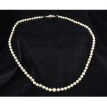 A pearl necklace Of graduated form, mounted with a diamond set clasp. 54 cm long.