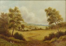 ENGLISH SCHOOL (19th century) Figure Resting in a Rural Landscape, possibly Devon Oil on board 37.