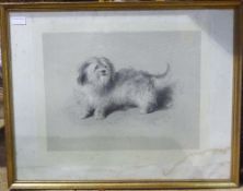 After SIR EDWIN HENRY LANDSEER (1802-1873) British, Terrier, lithograph,