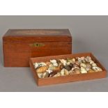 A shell collection Housed in a mahogany collectors box,