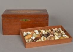 A shell collection Housed in a mahogany collectors box,