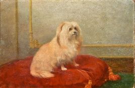 DECORATIVE SCHOOL (20th century) Portrait of a Lap Dog on Red Cushion Oil on board 33 x 22 cm,