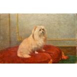 DECORATIVE SCHOOL (20th century) Portrait of a Lap Dog on Red Cushion Oil on board 33 x 22 cm,