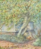 JOAN FRANCIS (born 1912) British The Old Apple Tree Watercolour Signed 19.5 x 24.