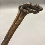 A late 19th century carved wood cane The handle worked with a mythical beast with glass inset eyes,