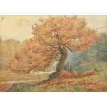 K BOND (19th/20th century) British Study of an Oak Watercolour Signed 54 x 39 cm,