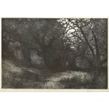 ENGLISH SCHOOL (20th century) Olive Trees II Limited edition etching Indistinctly signed,